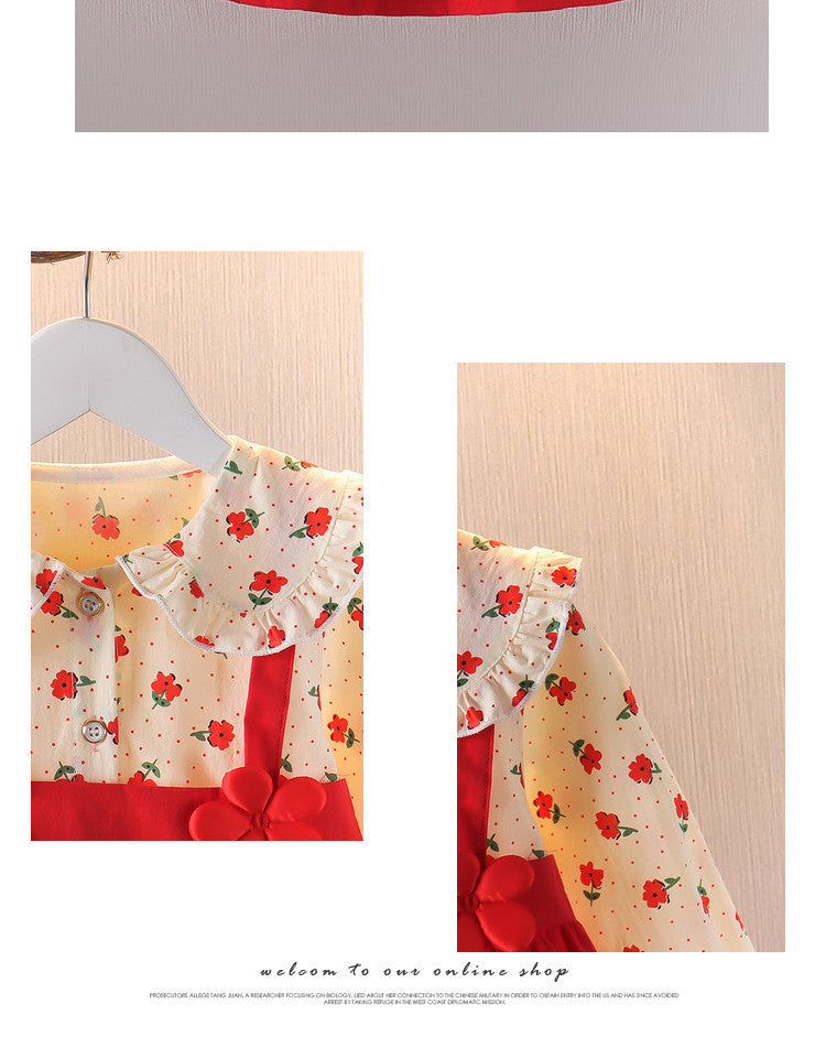 Imported 🌼 Baby Girls’ Floral Autumn Princess Dress